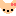 coringo coringo