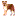 いぬ いぬ
