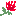 ばら ばら