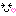きゃぴ きゃぴ