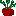 はつか大根 はつか大根