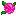 薔薇 薔薇