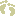 ÂÀ× ÂÀ×