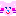 ネコ ネコ