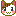 猫 猫