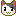 猫 猫