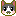 猫 猫