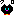クロ クロ