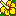 ハイビスカス ハイビスカス