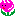 py py