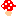 キノコ キノコ