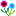kasai_flower