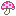kinoko2