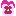 ¥Ñ¥ó¥¸¡¼ ¥Ñ¥ó¥¸¡¼