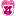 パンジー パンジー
