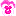 パンジー パンジー