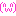 ���礳����